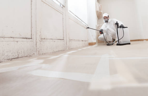 24/7 Emergency Mold Remediation experts in Hollywood, MD